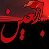 امام حسین (ع) اور زیارت اربعین<font color=red size=-1>- مشاہدات: 12428</font>