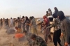 إعدام 35 مدنيا على يد "داعش" حاولوا الفرار من الفلوجة<font color=red size=-1>- عدد المشاهدین: 1326</font>