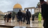 عشرات المستوطنين الصهاينة يقتحمون باحات المسجد الأقصى