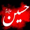 Why did Imam Hussein (peace be upon him)  stand against yazid although he knew he would be martyred?<font color=red size=-1>- Count Views: 3150</font>