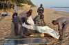 القاعدة يعلن مسؤوليته عن هجوم ساحل العاج الارهابي + (صور)<font color=red size=-1>- آراء: 0</font>
