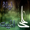 استدلال امیرالمؤمنین(سلام الله علیه) به «لیلة المبیت»؛ در شورای شش نفره