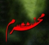شیعوں کا امام حسین(ع) کو قتل کرنا۔<font color=red size=-1>- آراء: 1</font>